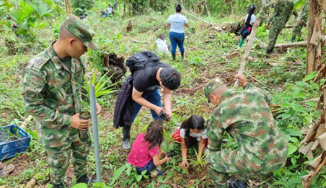 Cinco mil especies nativas de la región fueron sembradas en la capital del Putumayo.