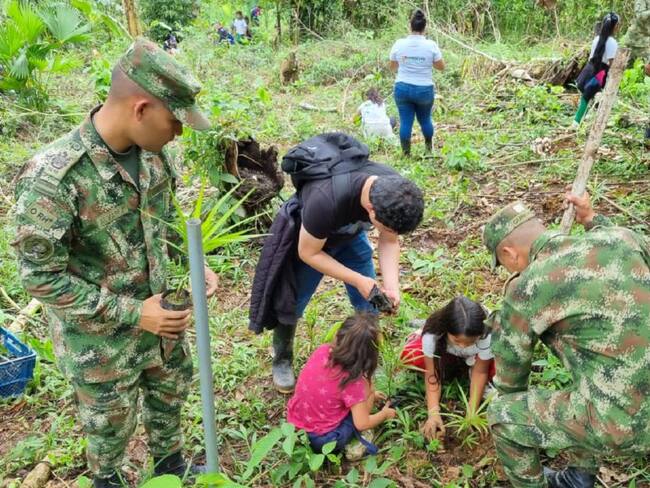 Cinco mil especies nativas de la región fueron sembradas en la capital del Putumayo.
