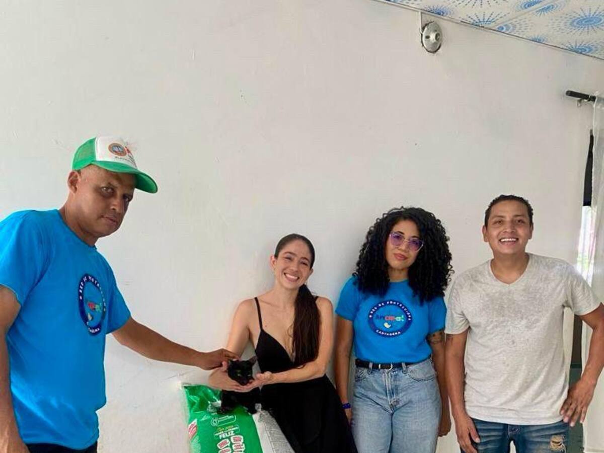 Perros y gatos en condición de calle recibirán alimentos en Cartagena