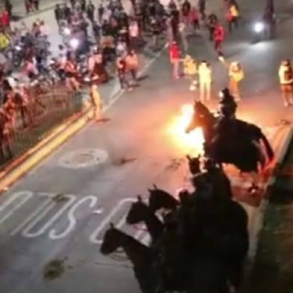 Animalistas en Cali rechazan uso de caballos en protestas
