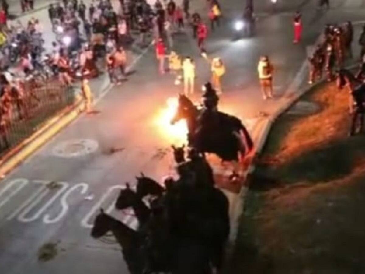 Animalistas en Cali rechazan uso de caballos en protestas