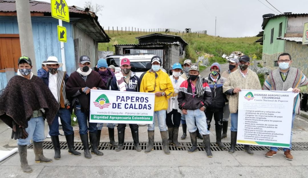 Productores de papa de Caldas