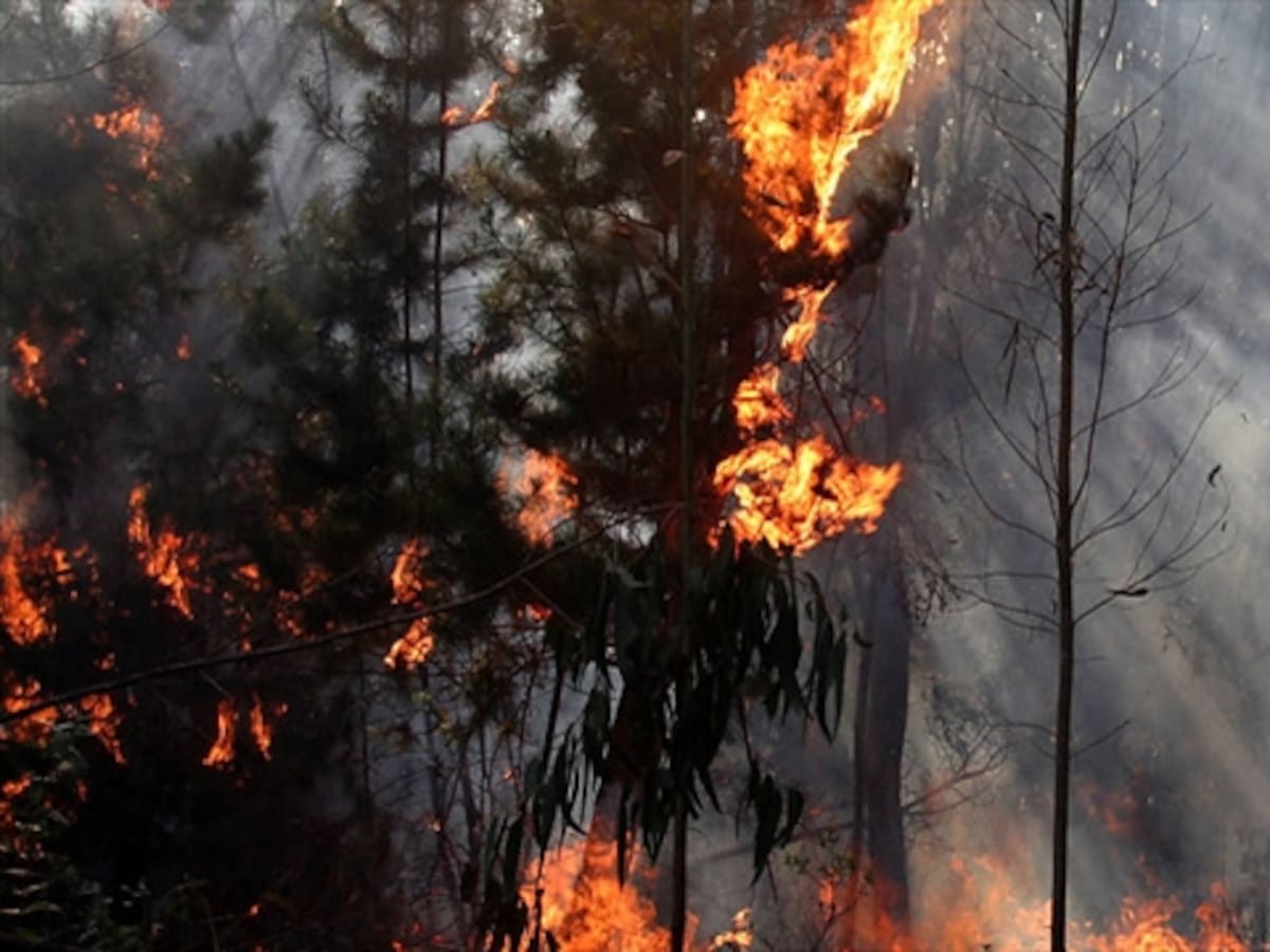 Incendio amenaza reserva natural en Cumbal- Nariño