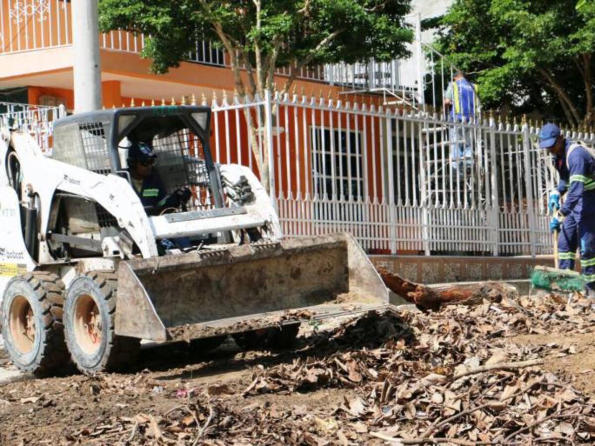 Fueron recogidas 50 toneladas de residuos mixtos en labores de limpieza y aseo en Cartagena