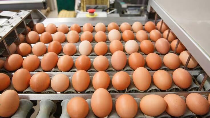 Crédito: Caracol Radio.