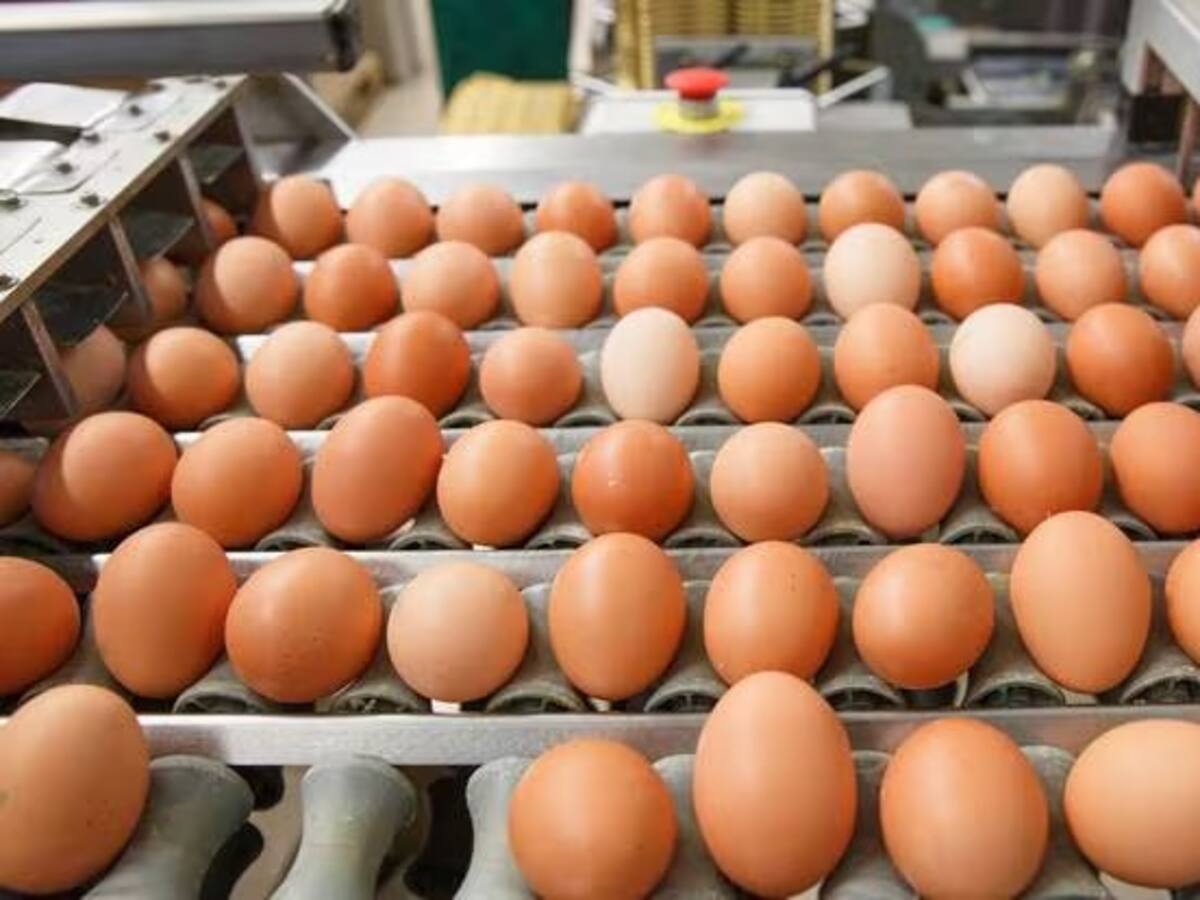 Preocupación en la Plaza de Mercado de Manizales por incremento en el precio de los huevos