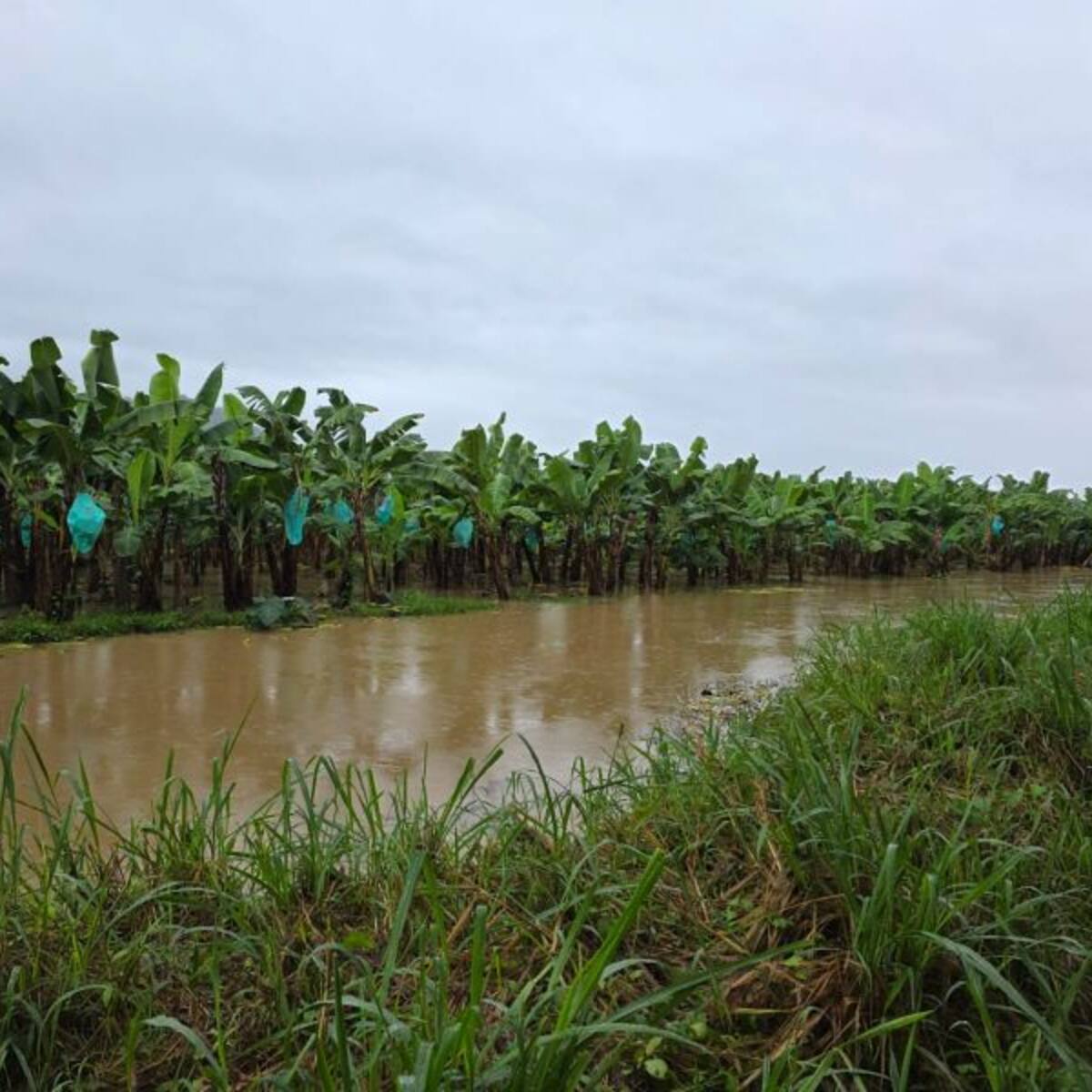 ASBAMA activa plan de contingencia en el Magdalena y La Guajira por frente frío