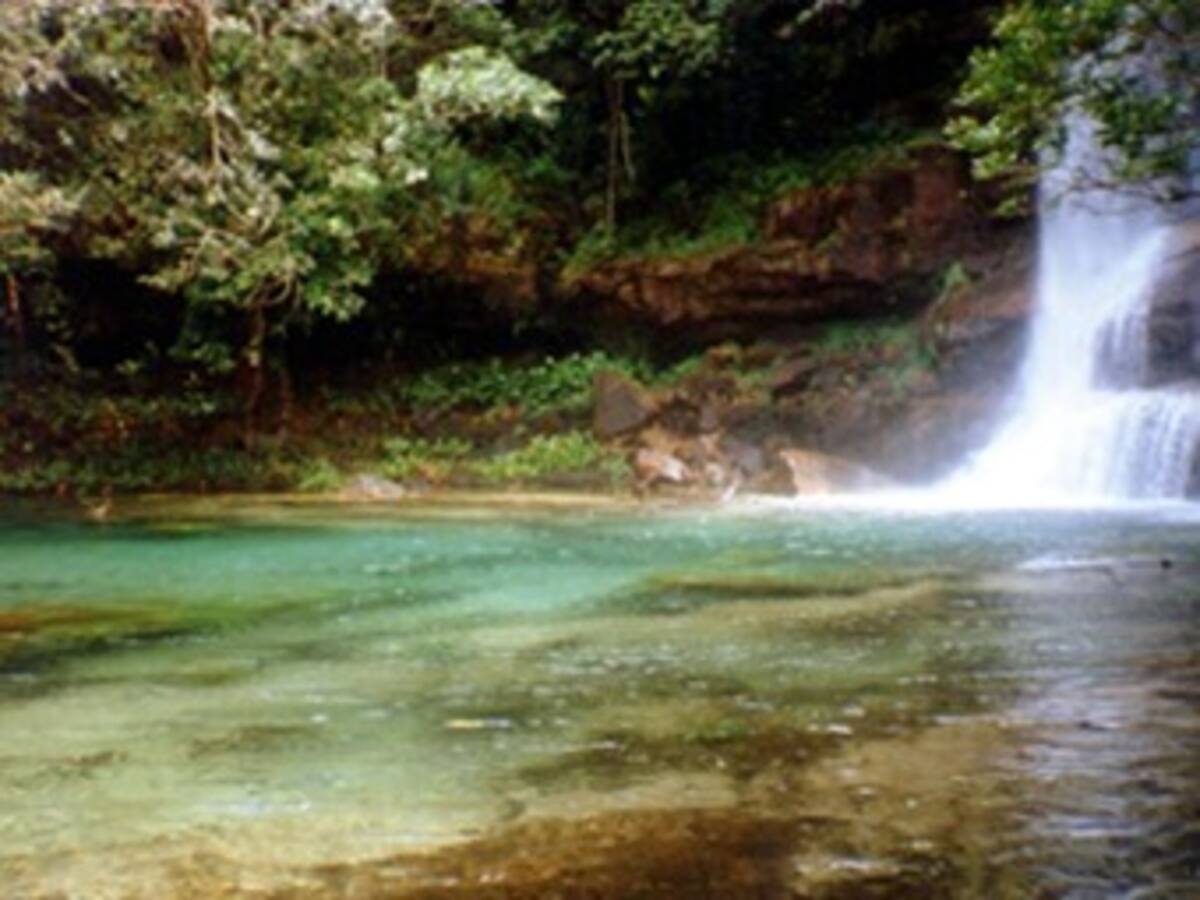Notariado y Registro reporta violaciones a la legislación ambiental en parques naturales