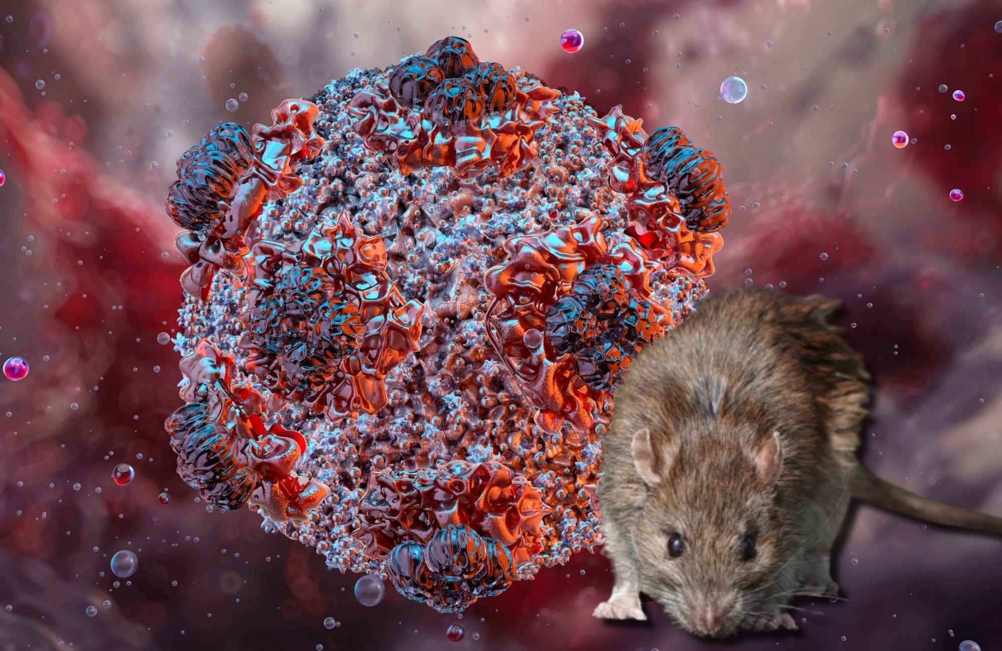 Imagen de referencia virus y ratón. Foto: Getty Images
