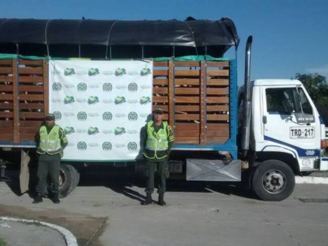 Recuperan reses robadas en Magangué, Bolívar