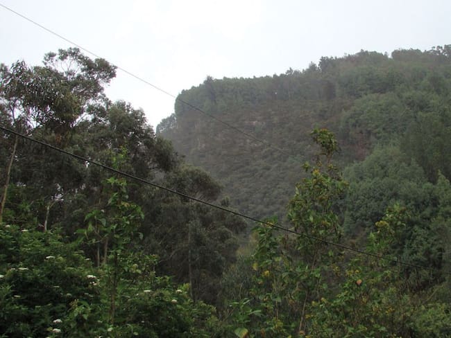 Senderos ecológicos de Bogotá fueron cerrados preventivamente