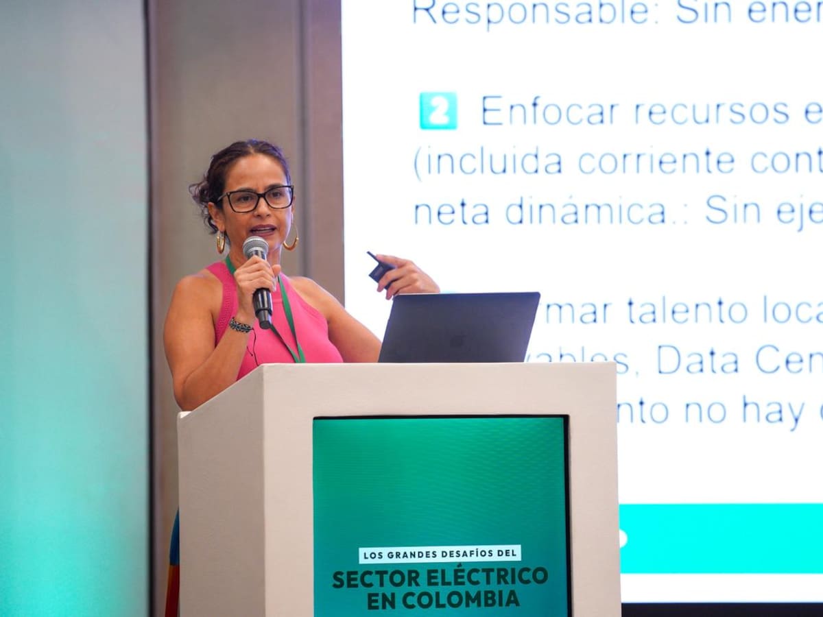“Usuarios de energía deben convertirse en prosumidores”: Adriana Espinel