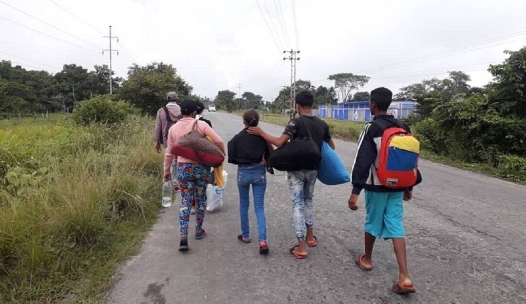 Caminantes venezolanos 