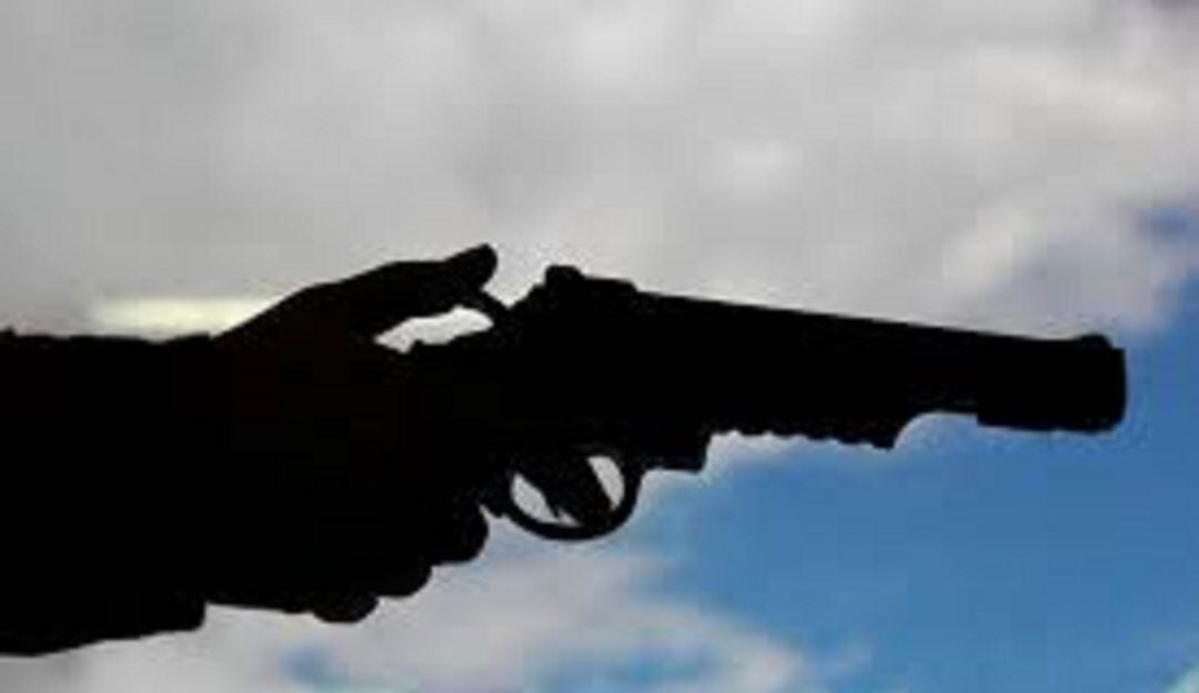 Plan desarme Ibagué