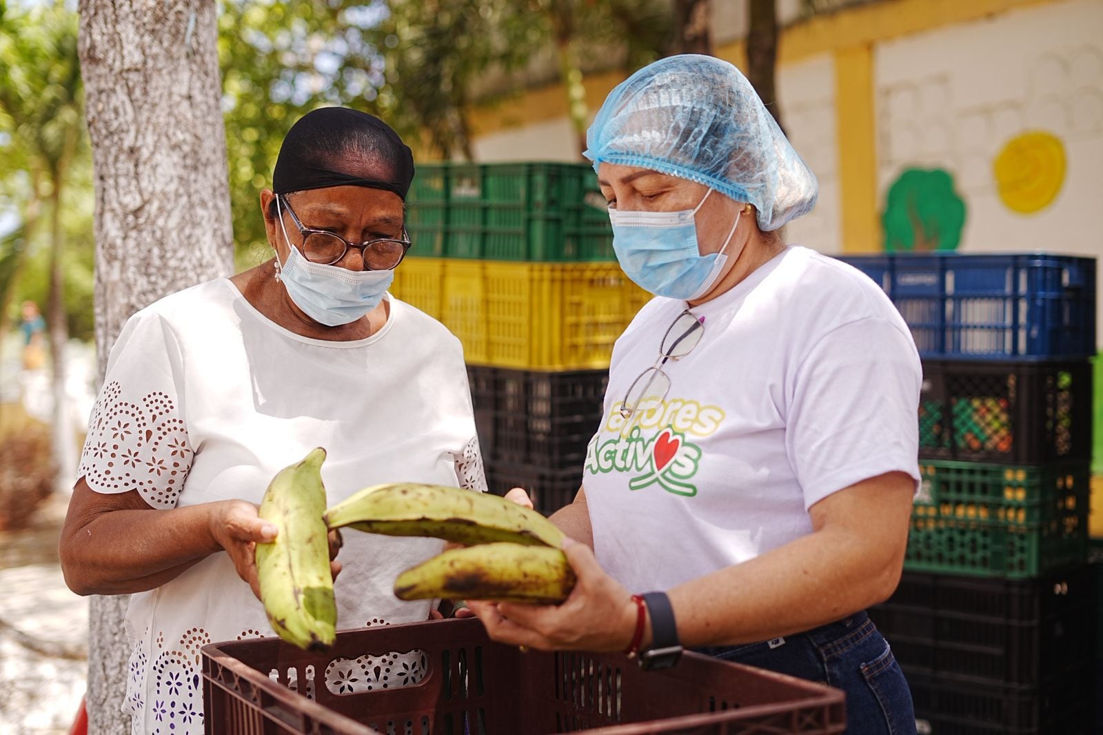 Alcaldía de Cartagena