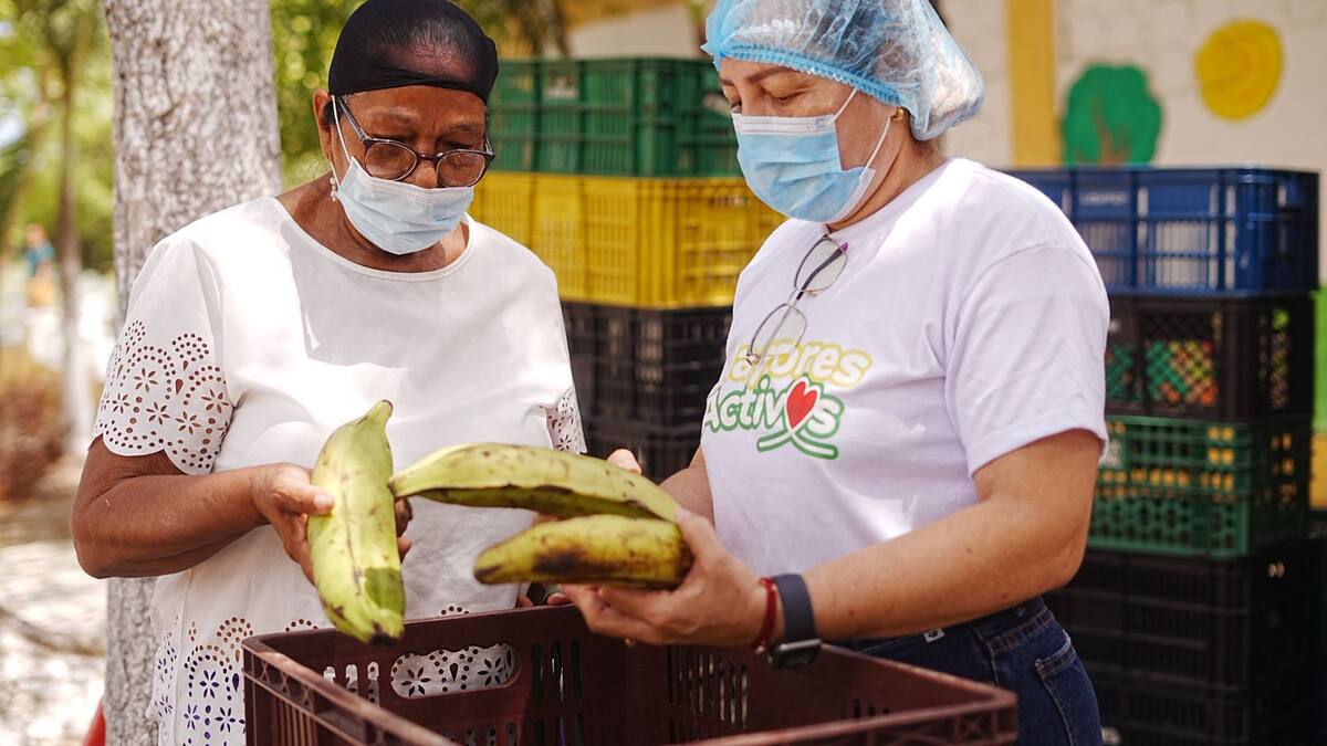 Inició entrega de alimentos a adultos mayores de Grupos Organizados en Cartagena