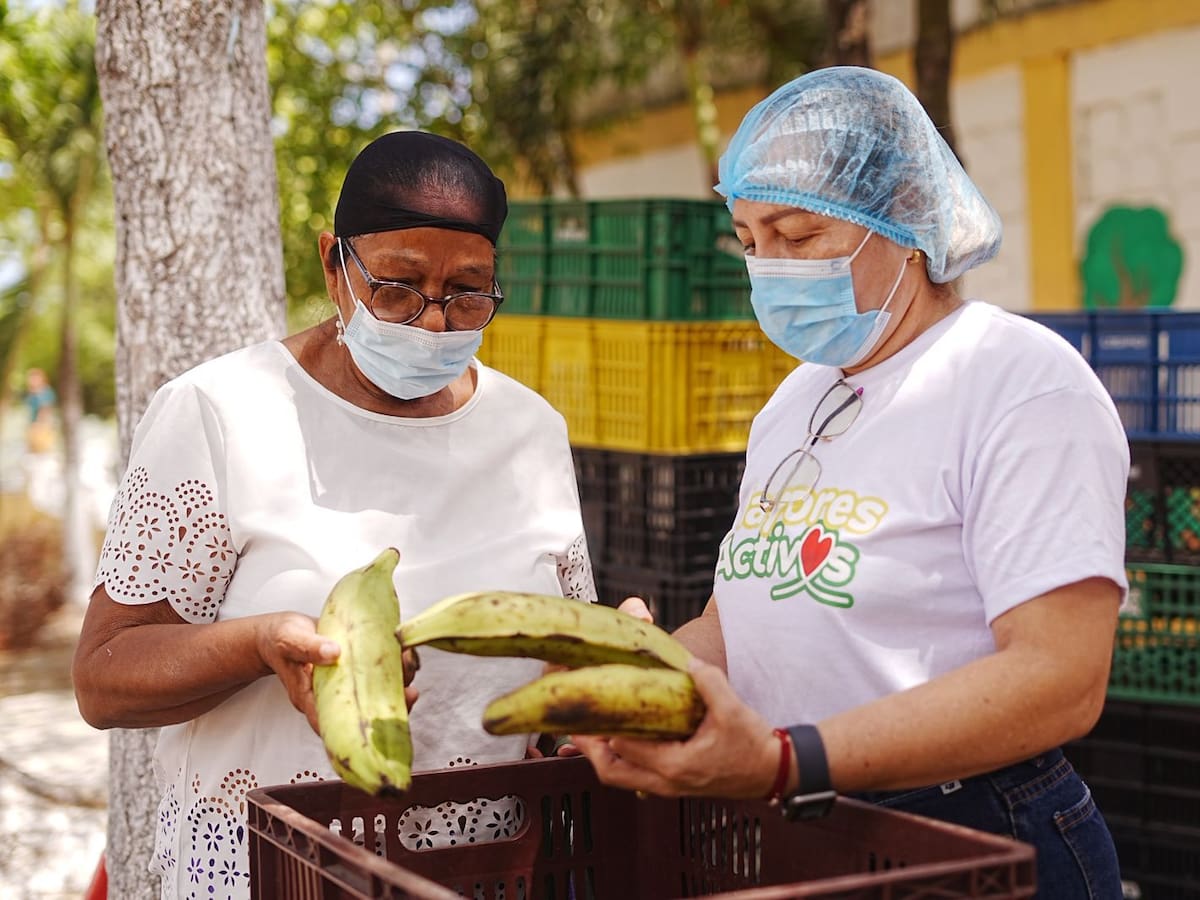 Inició entrega de alimentos a adultos mayores de Grupos Organizados en Cartagena