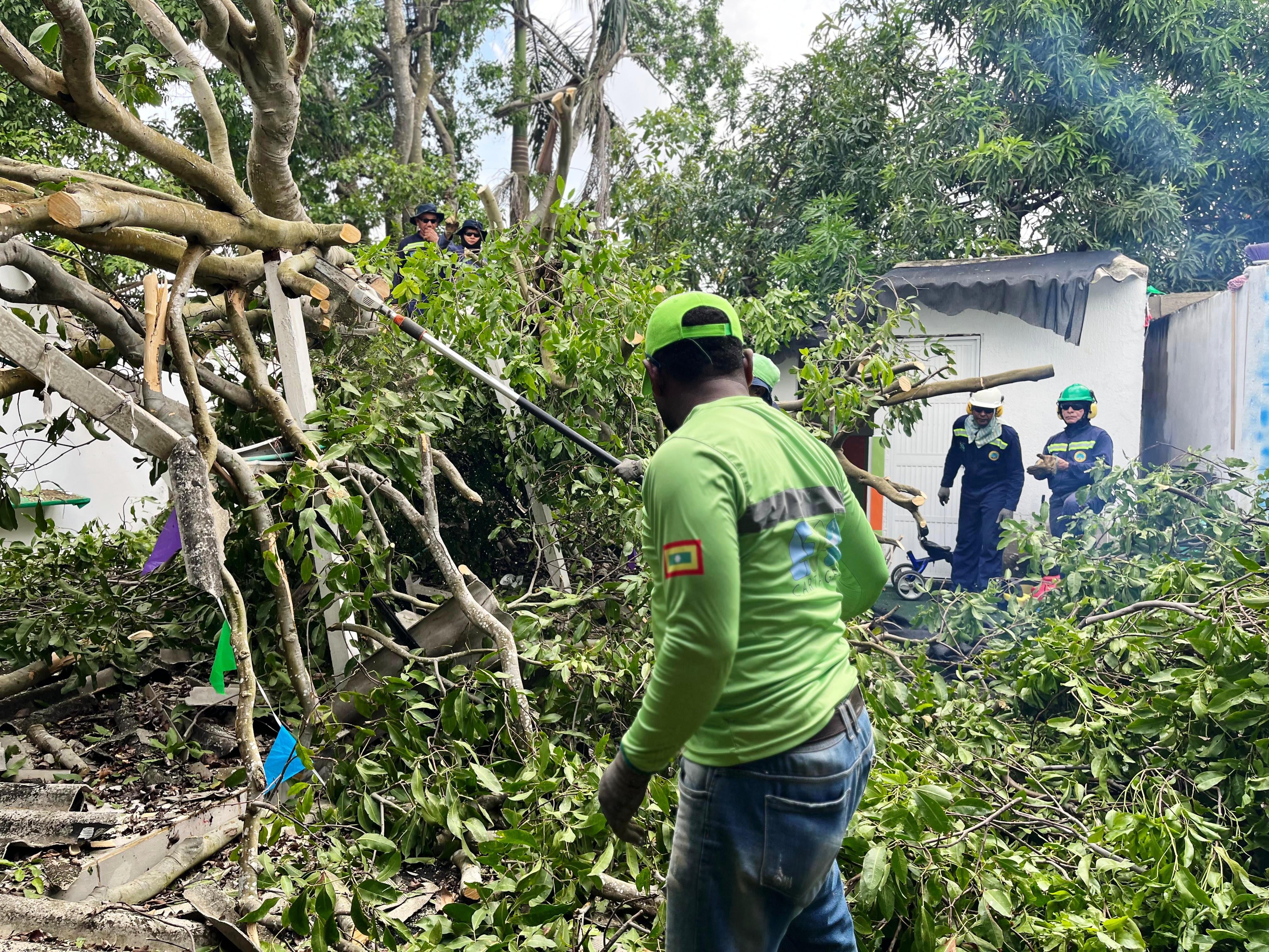 EPA Cartagena atiende emergencia de árboles caídos en Fredonia