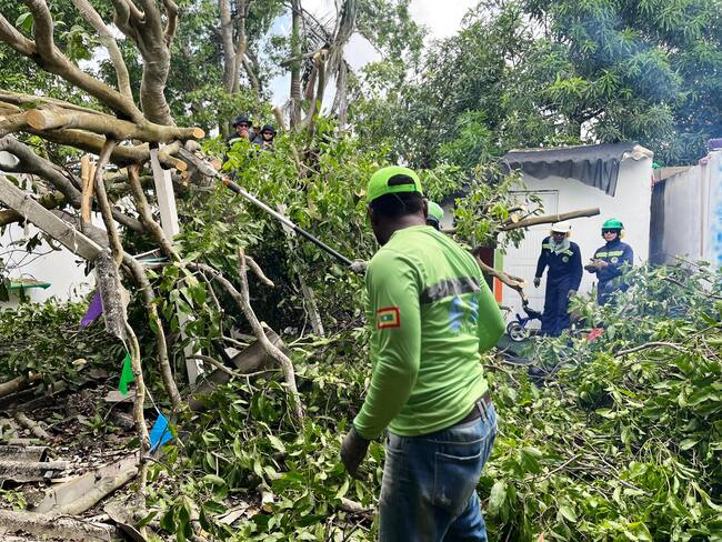 EPA Cartagena atiende emergencia de árboles caídos en Fredonia