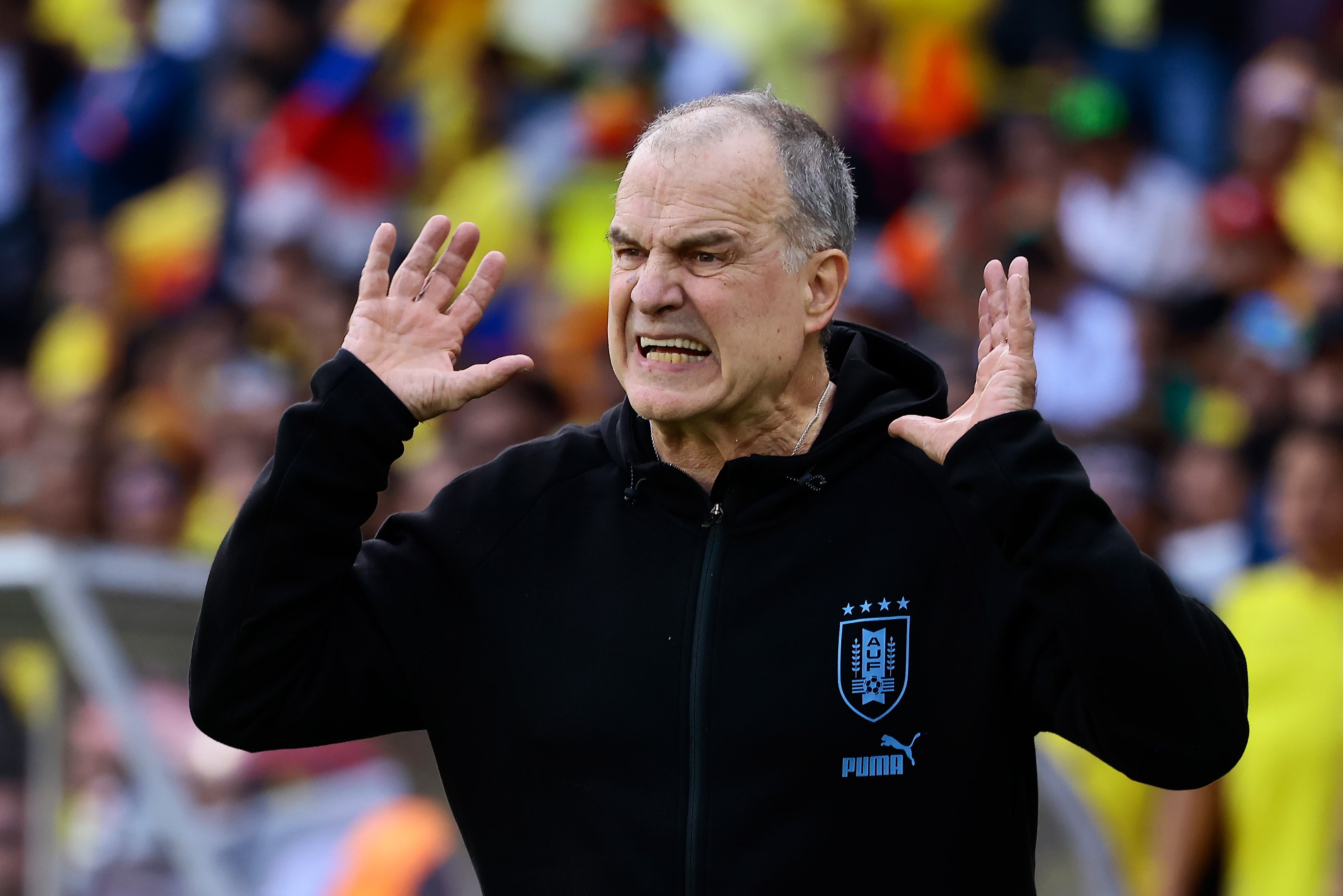 Marcelo Bielsa, entrenador de Uruguay. (Photo by Franklin Jacome/Getty Images)