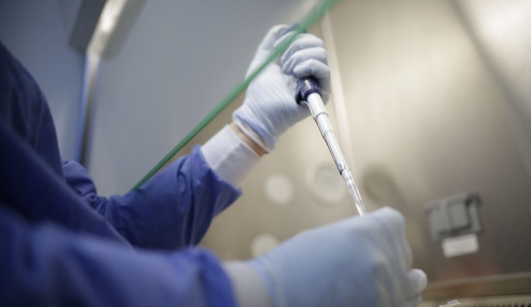 Imagen de referencia