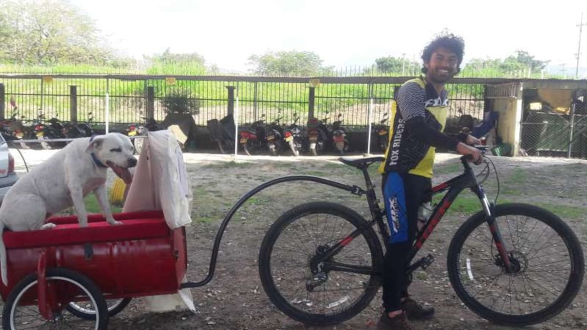 Pablo Abril, el odontólogo que repara sonrisas en el país