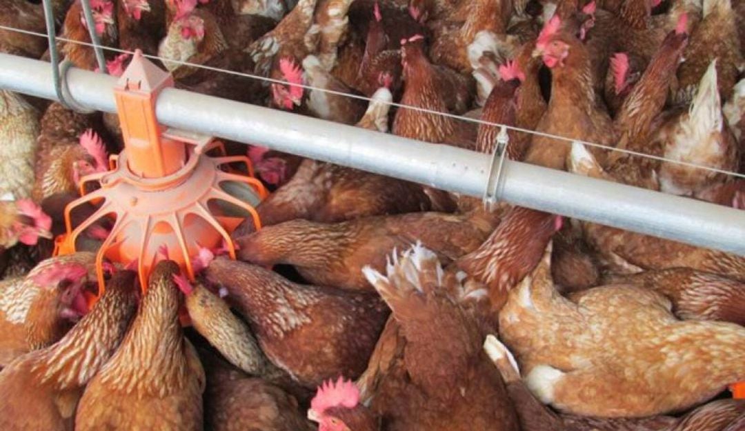 Afectaciones económicas en Risaralda.