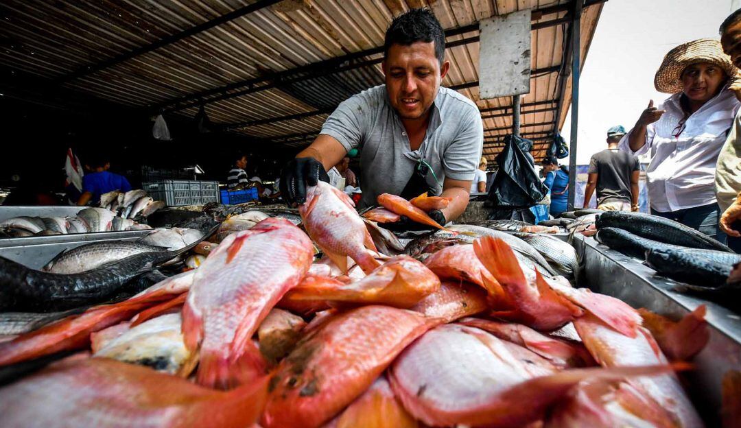 Pérdidas económicas sufriría este gremio de la economía a causa de la acides del agua generada por las lluvias reportadas. 