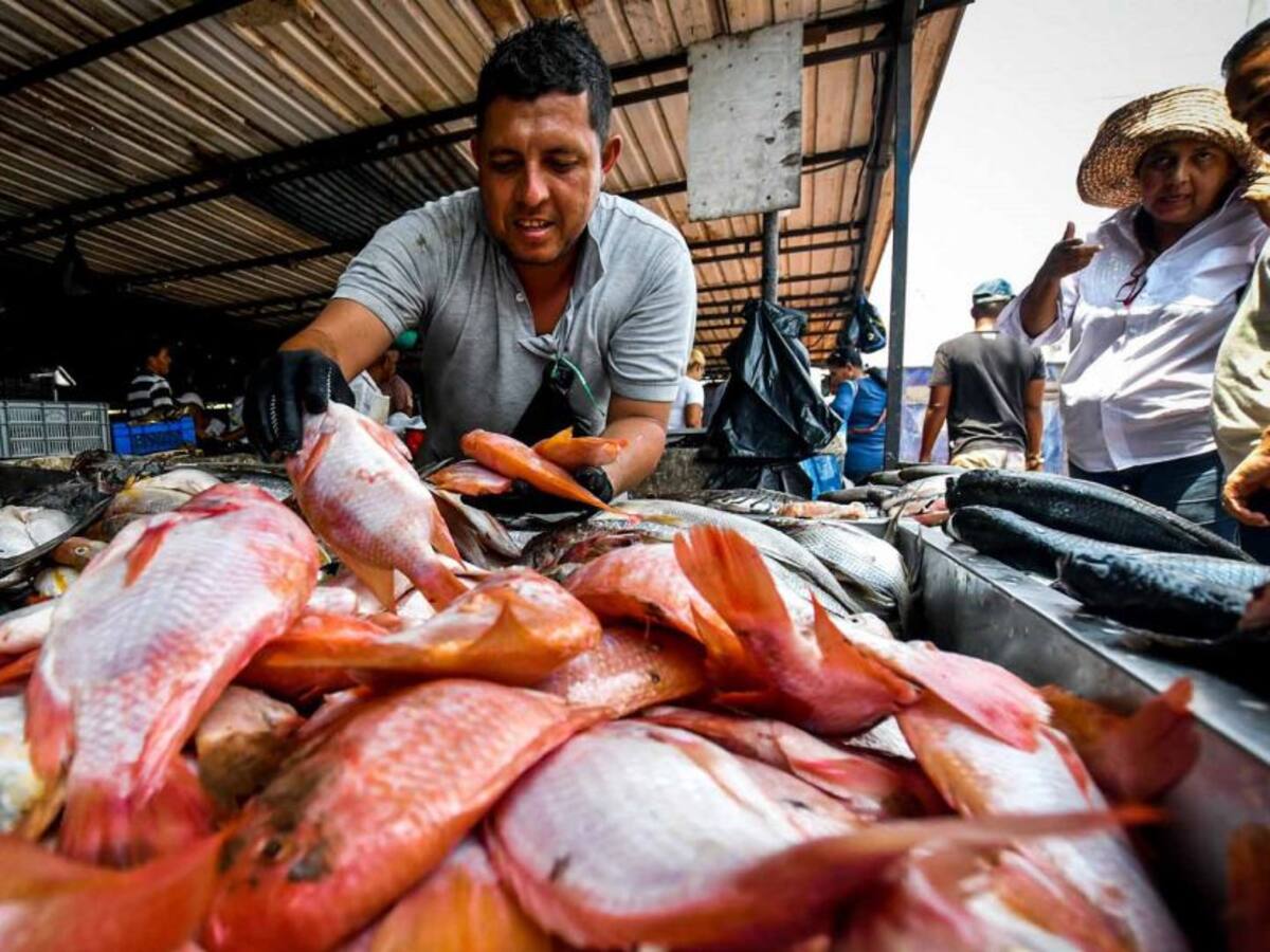 Lluvias en el Huila afectan producción piscícola en el Huila