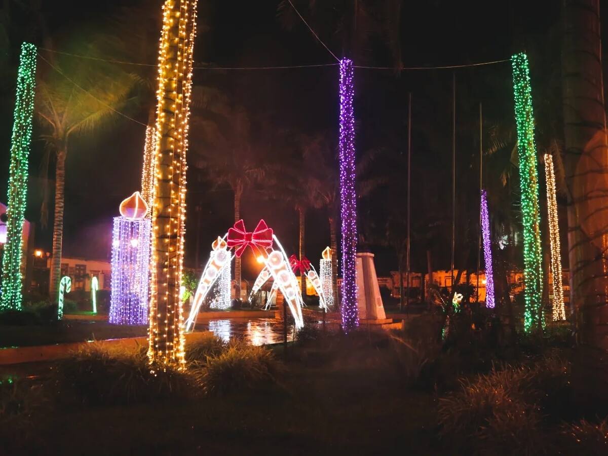 Martes 3 de enero, las noticias más importantes de Armenia y Quindío