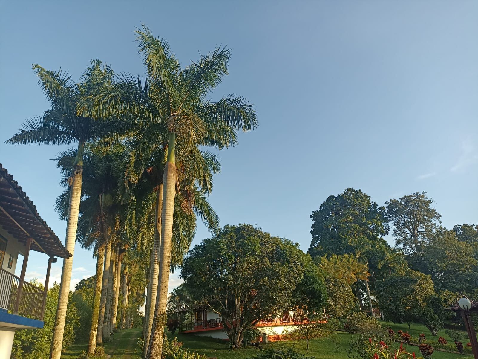 Hermosos paisajes del Quindío, zona rural del corregimiento de Pueblo Tapao en Montenegro. Foto: Adrián Trejos