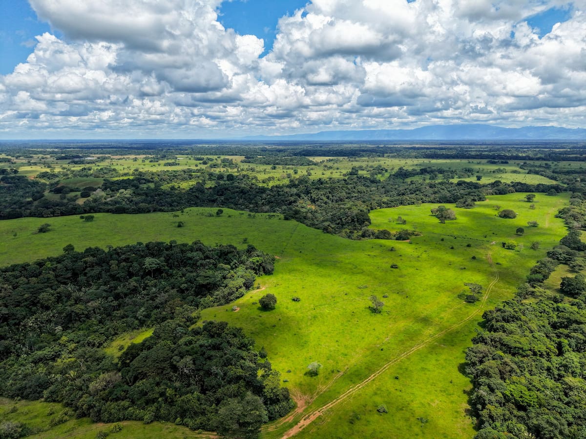 ANT y SINA unen esfuerzos para garantizar procesos de tierras con protección ambiental