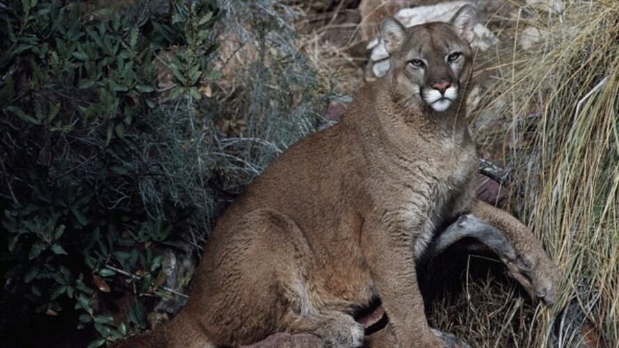 Imagen de referencia. Foto: Getty Images