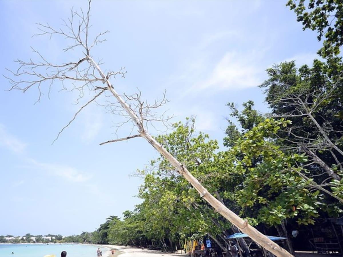 Playas de Barú solo estarán habilitadas entre las 7 de la mañana y las 5 de tarde