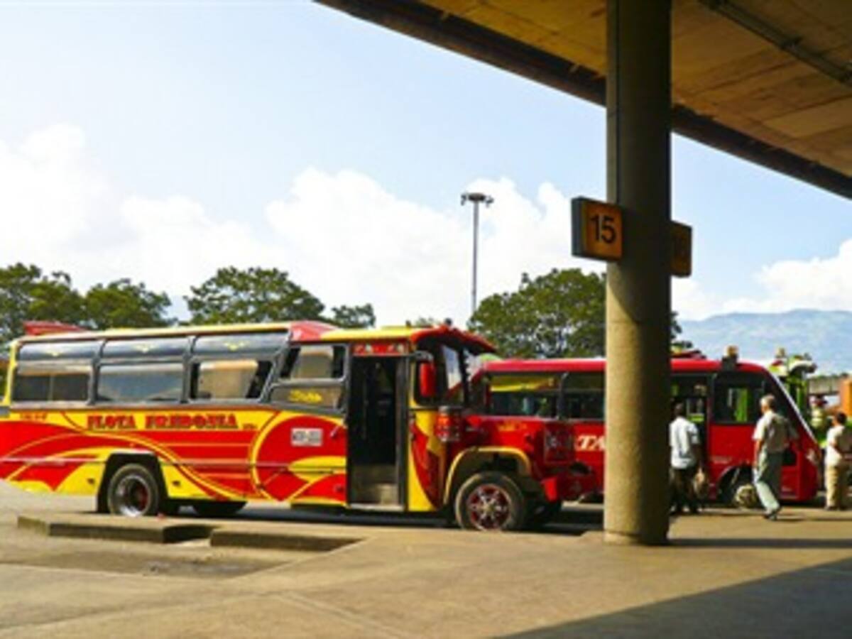 Pérdidas por 30.000 millones de pesos deja paro agrario al transporte intermunicipal