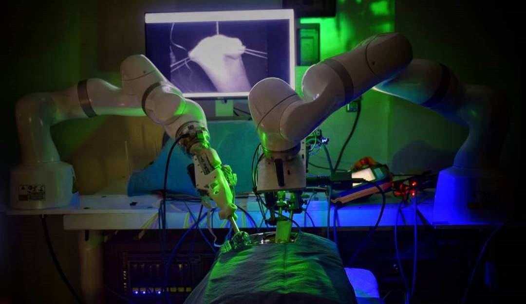 El robot STAR durante el desarrollo de la cirugía.       Foto: Universidad Johns Hopkins