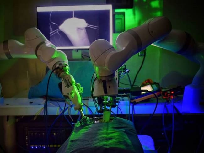 El robot STAR durante el desarrollo de la cirugía.       Foto: Universidad Johns Hopkins
