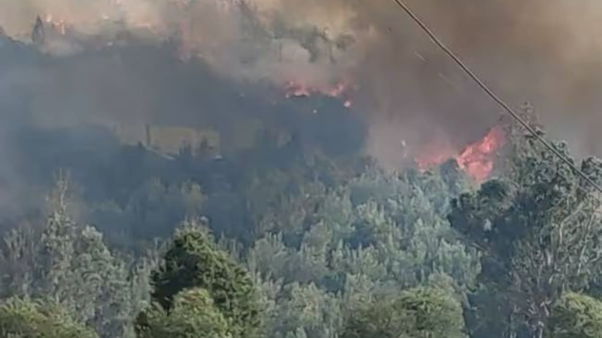Incendio en Sopó fue ocasionado por contacto de cables de alta tensión y árboles de la zona