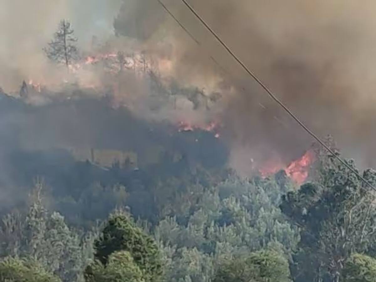 Incendio en Sopó fue ocasionado por contacto de cables de alta tensión y árboles de la zona