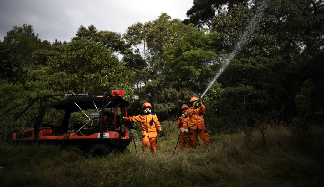 Inspección de incendios forestales. Foto: Colprensa. 