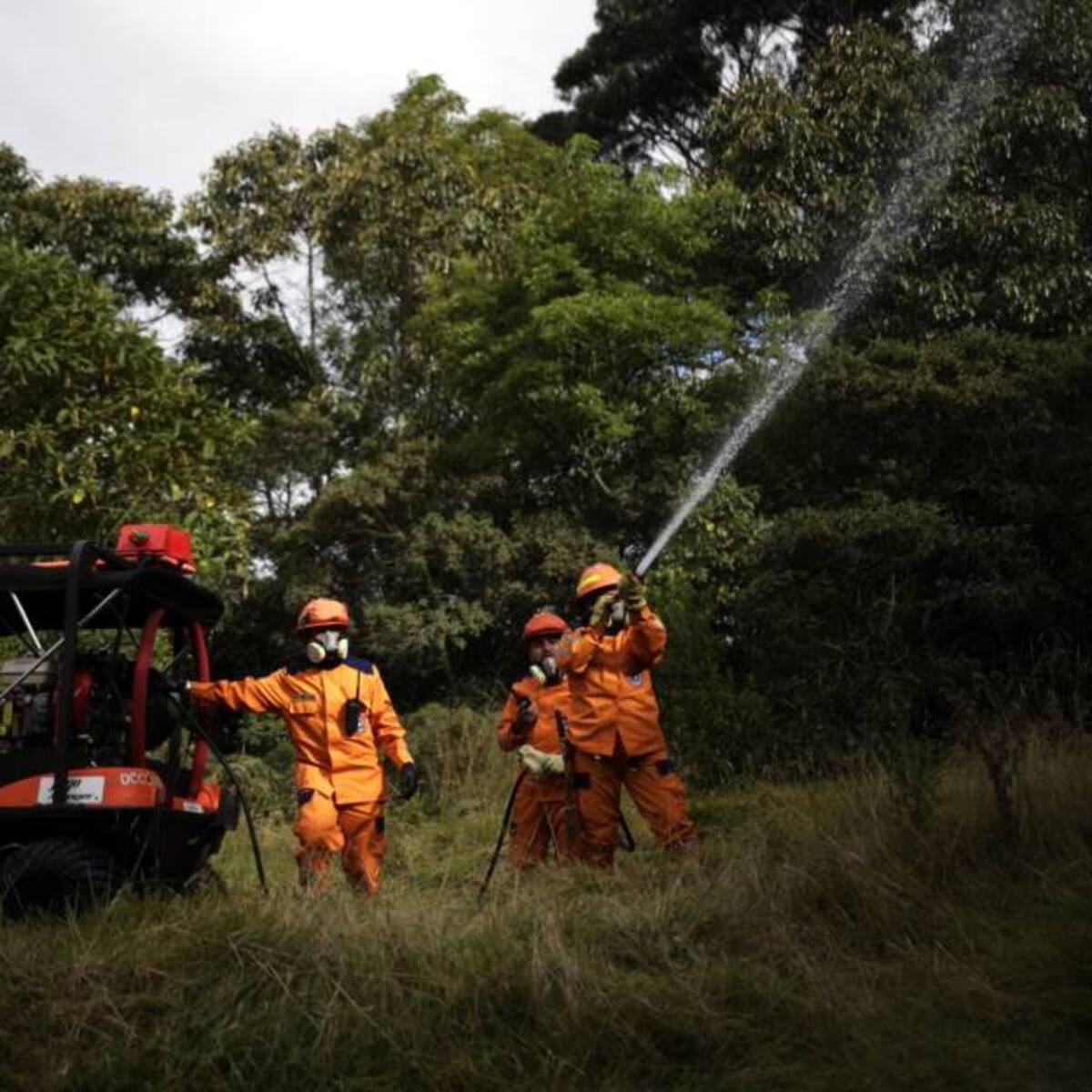Autoridades estudian el comportamiento de 782 posibles incendios forestales