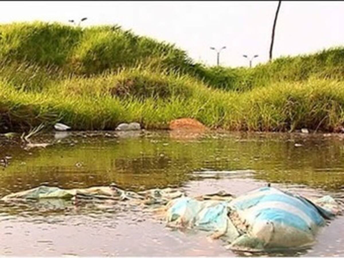Comienzan a debatir polémico proyecto que busca convertir humedales de Bogotá en campos de golf