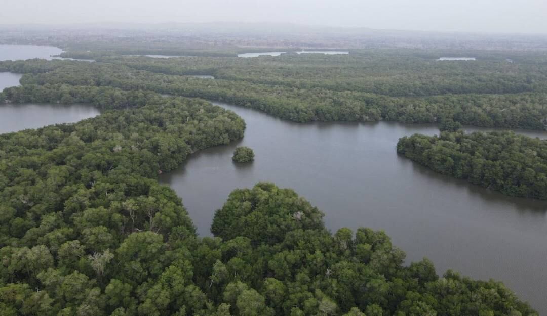 Ecosistemas colombianos. Foto: Colprensa. 