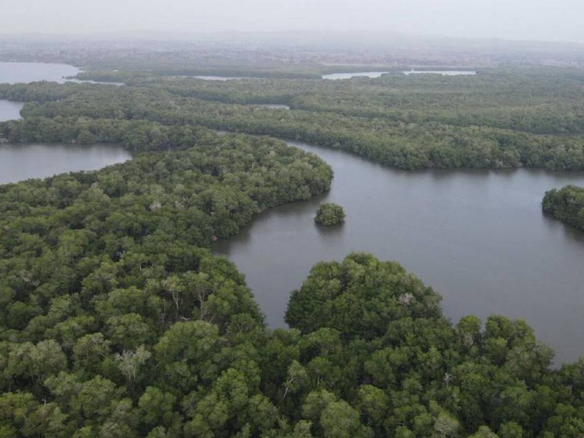 Consejo Nacional Ambiental abre convocatoria para representantes gremiales