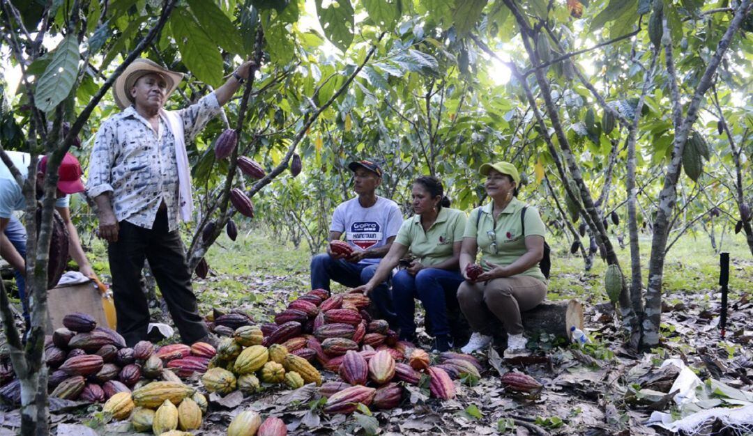 Programa Territorios Caqueteños Sostenibles para la Paz.