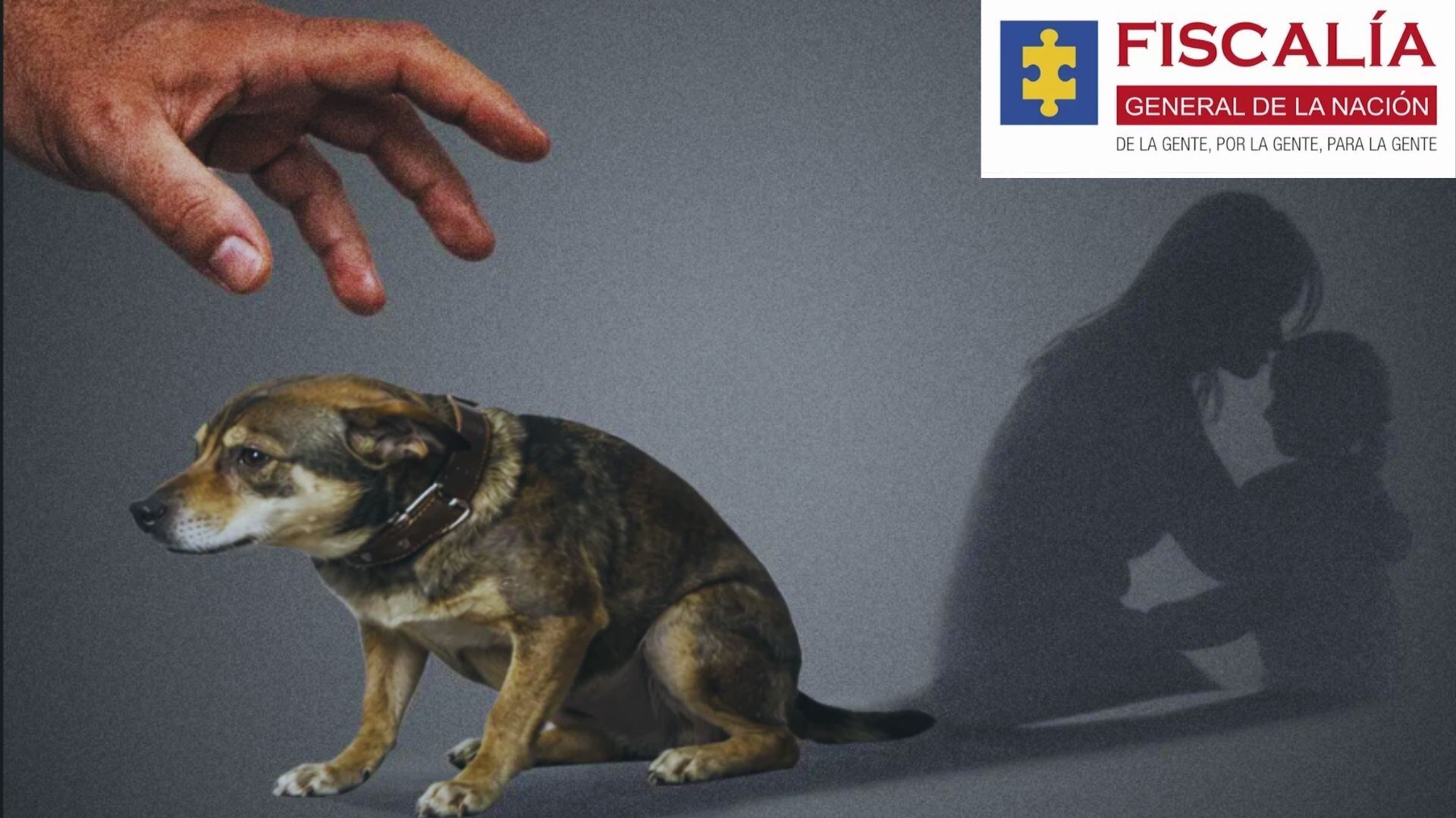 La Fiscalía General de la Nación realizó una imputación y dos condenas contra casos de maltrato animal