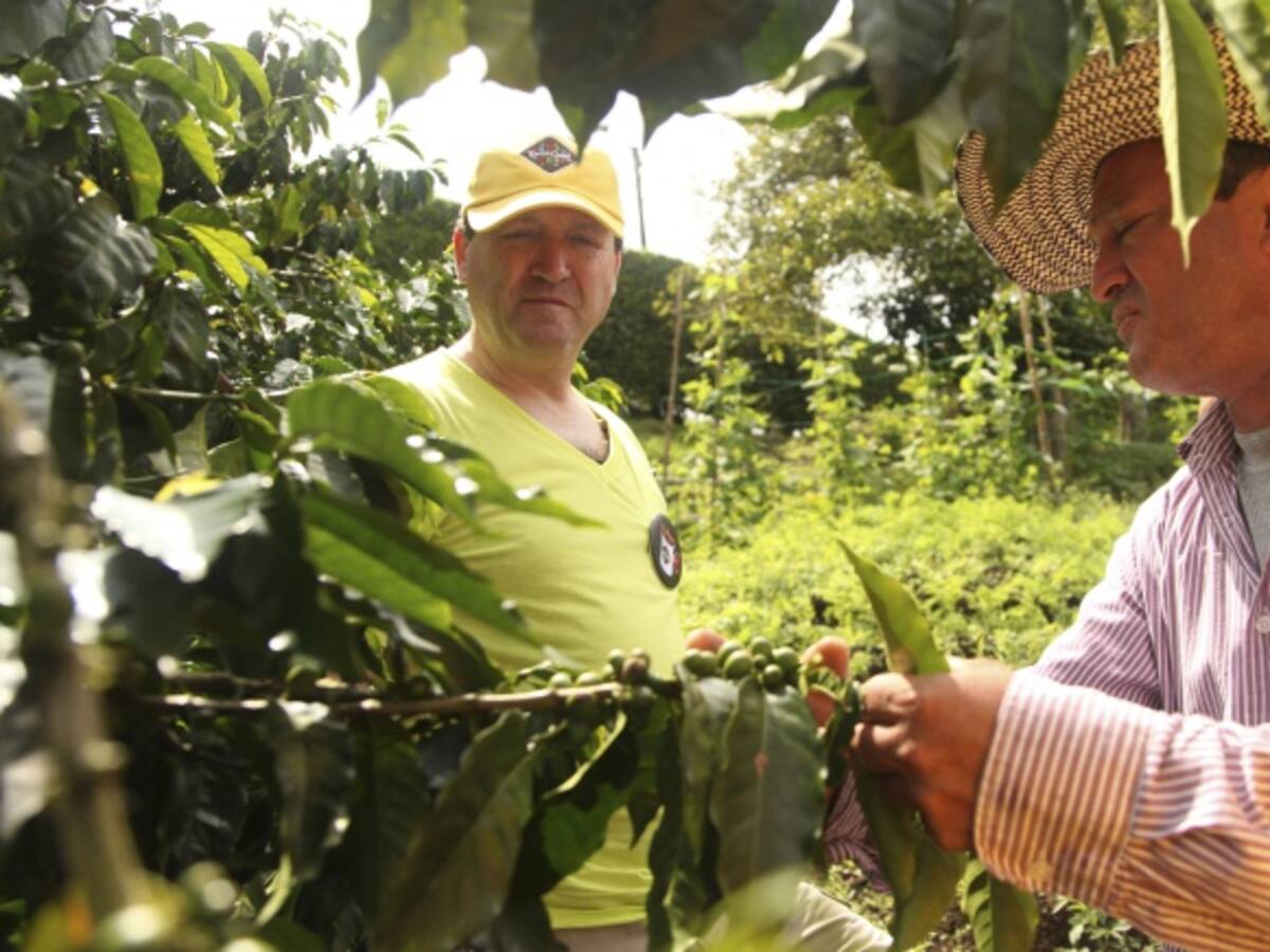 Cafeteros estarían siendo estafados por inescrupulosos en el Huila