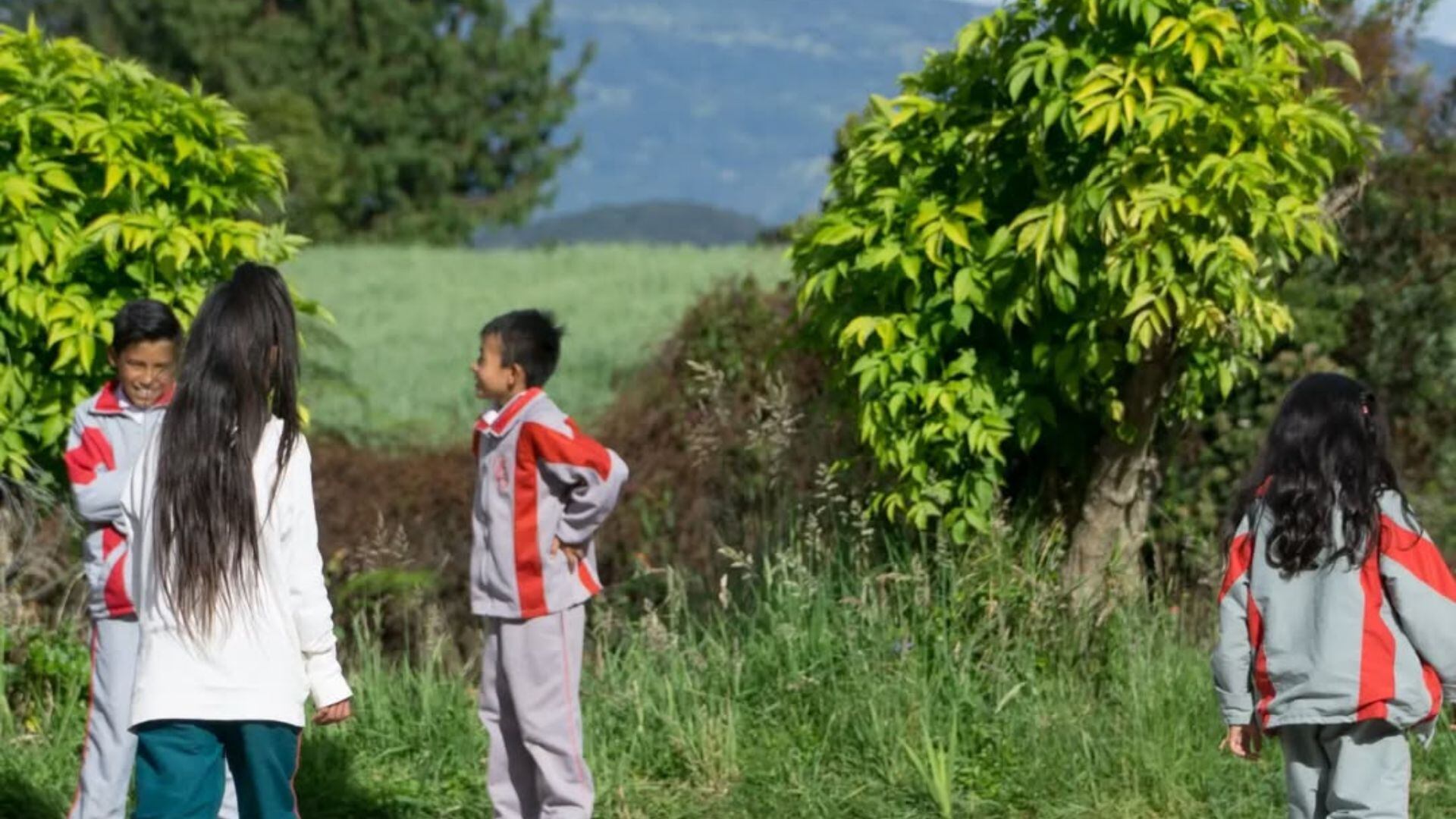 FEE, en colaboración con sus voluntarios y gracias a las donaciones recibidas, aporta al mejoramiento de las instalaciones de las escuelas, para así brindar a los niños y las niñas un mejor espacio para el desarrollo de sus actividades escolares en las aulas. | Foto: Cortesía
