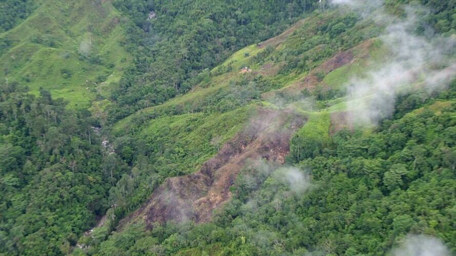 Colombia perdió 219.973 hectáreas de bosque en 2017. Foto: Colprensa
