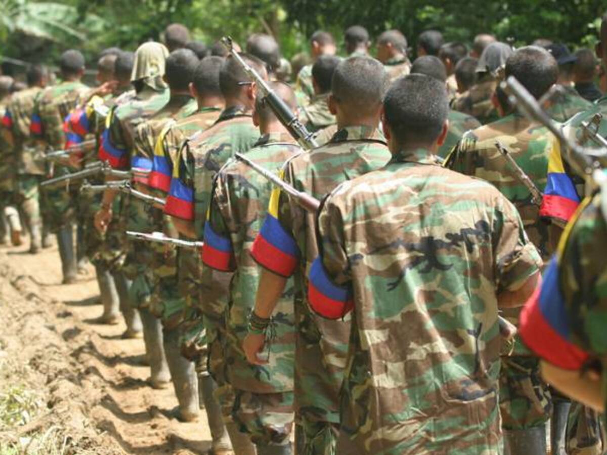 Exguerrilleros no llegarán a las ciudades: Farc
